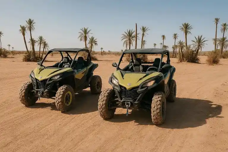 1000cc buggy driving through palm groves in the Marrakech Palmeraie